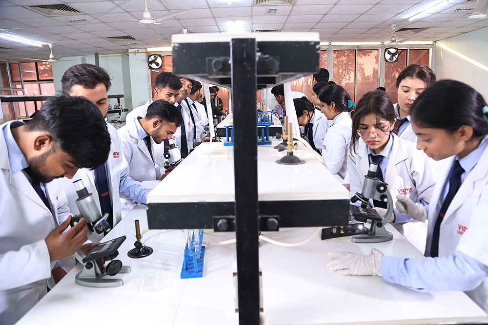 pharmacy program